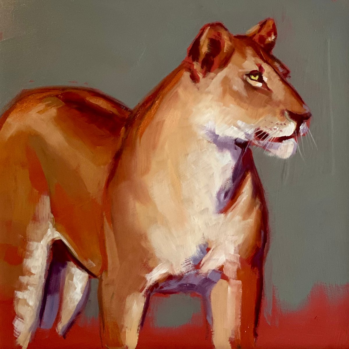 Lioness by Catherine Ingleby