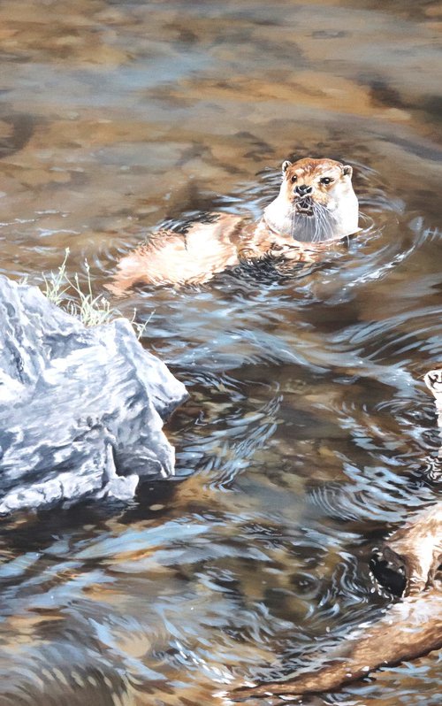 Tech River Otters by Julian Wheat