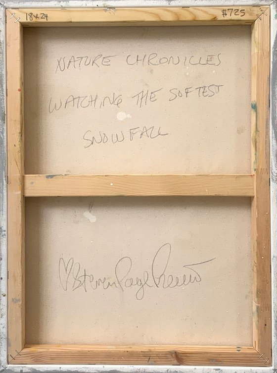 Watching The Softest Snowfall