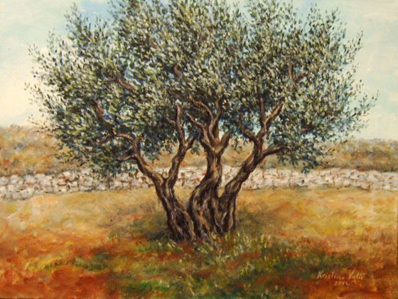 Olive tree