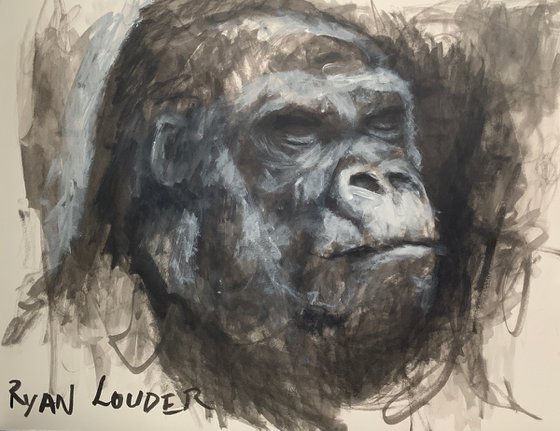 Gorilla