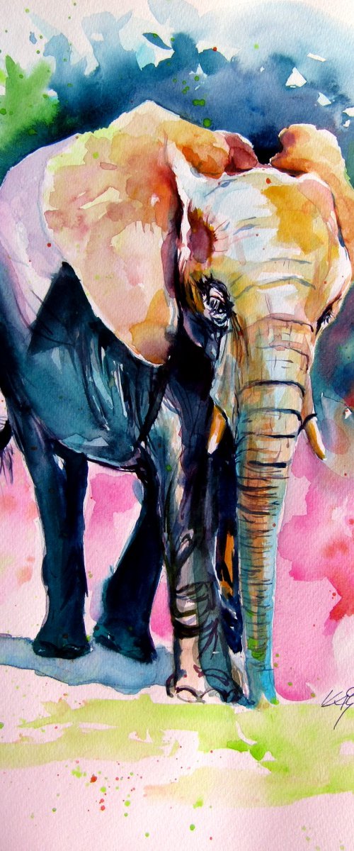 Elephant  alone by Kovács Anna Brigitta