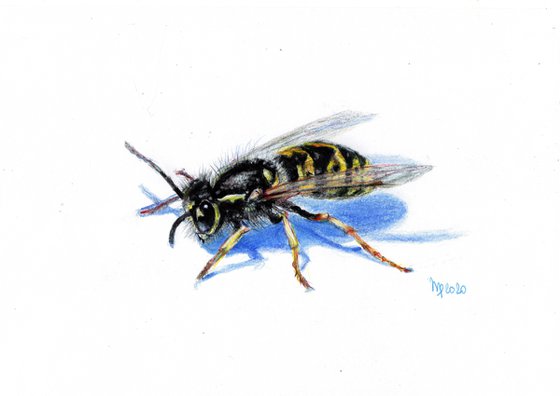 Wasp/Insect Series