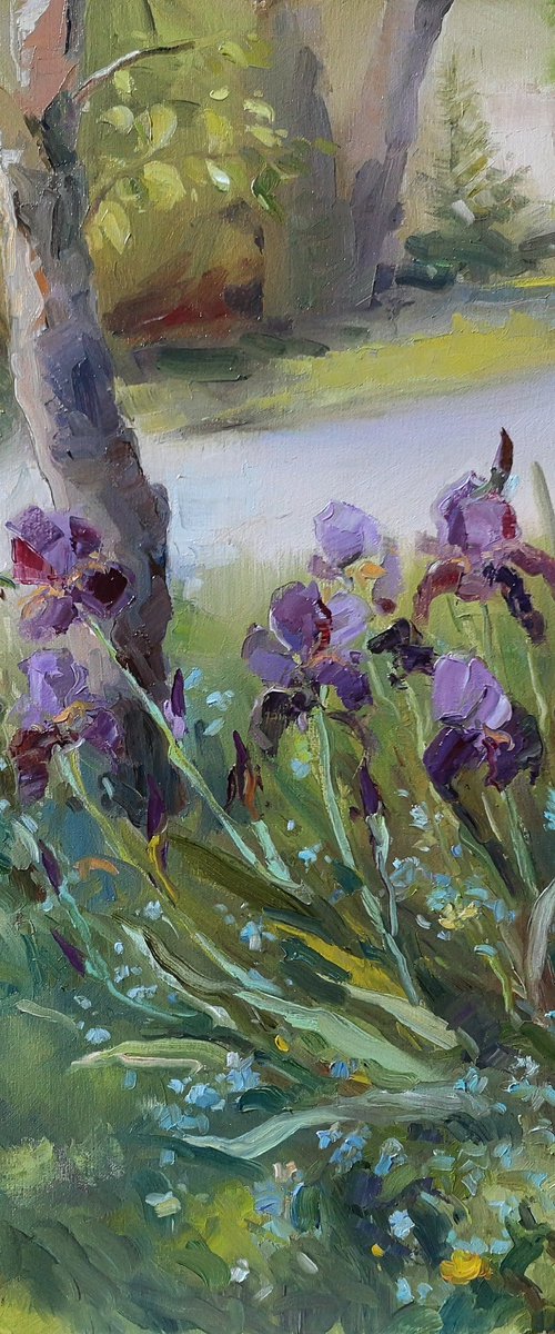 Irises (plein air), original, one of a kind, oil on canvas impressionistic style painting (18x24") by Alexander Koltakov