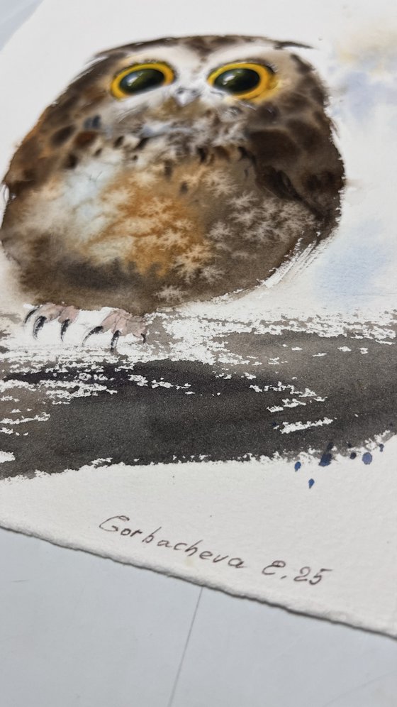 Owls (Diptych)