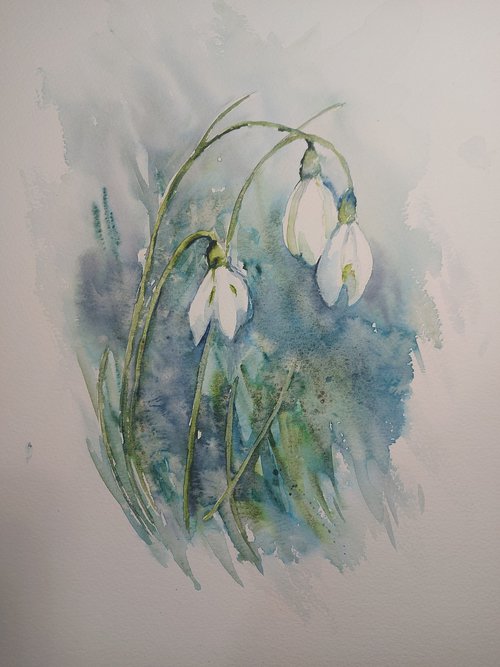 Snowdrops watercolour by Sue  Green