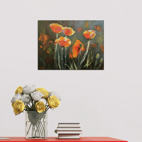 Poppies 2