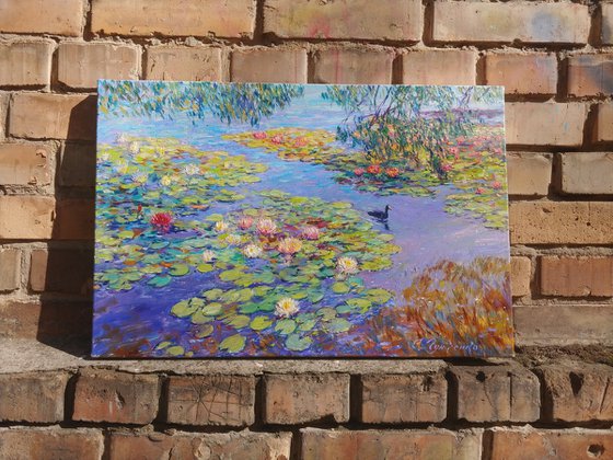 Nymphaeums are enveloped in the sun.