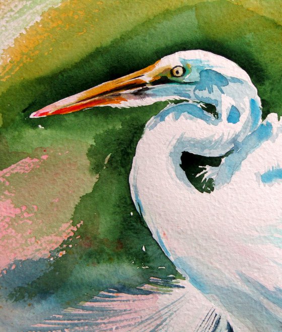 White heron