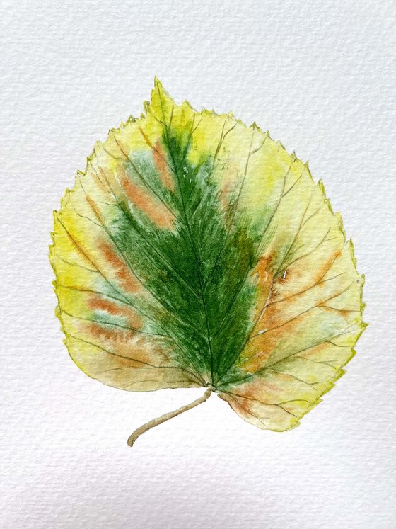 Autumn leaf Sketch #2