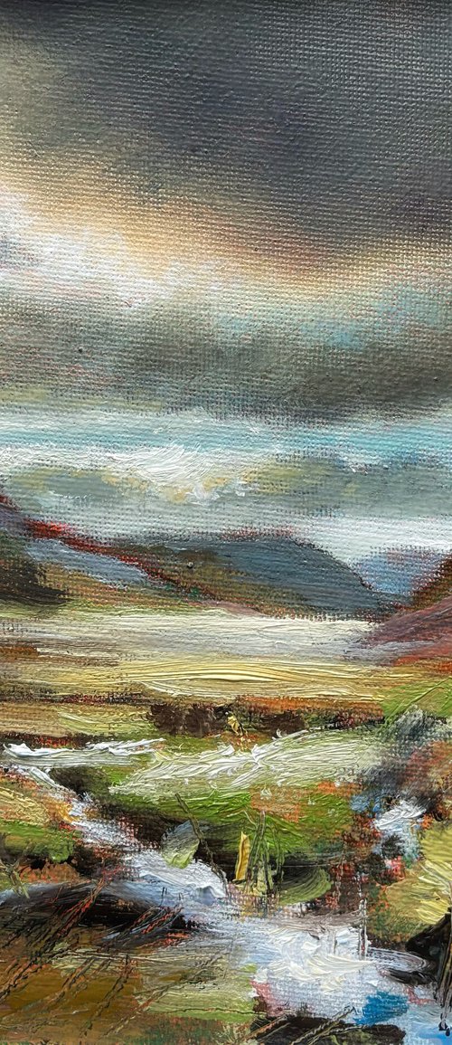 Golden Bracken, Glencoe by Jennifer Taylor