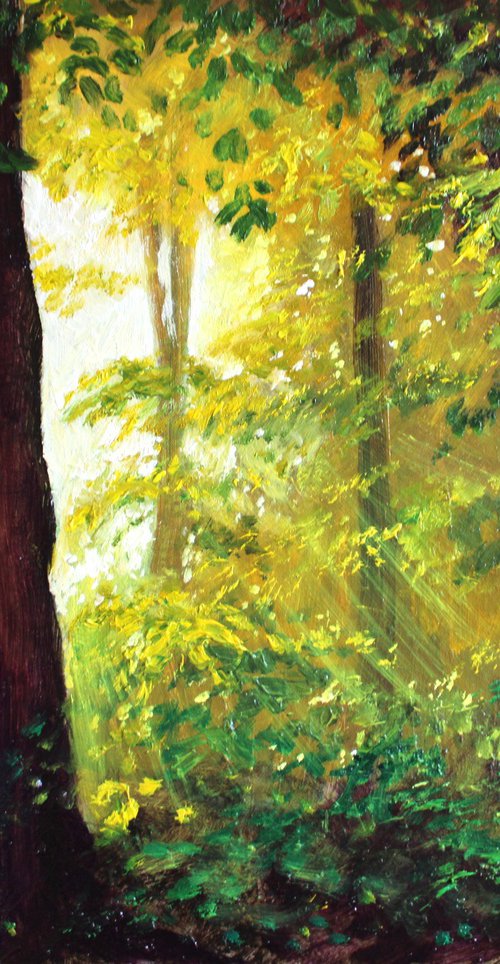 Out of Darkness comes Light by Rod Bere