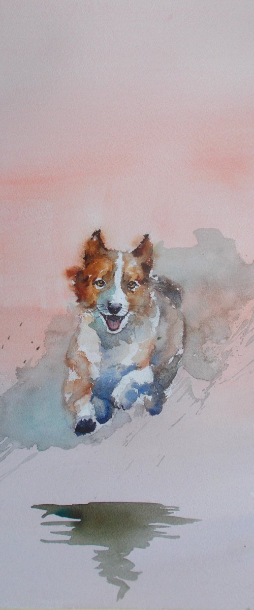 running dog by Giorgio Gosti