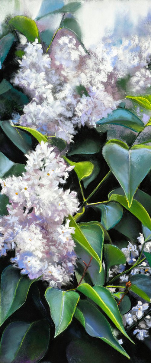 Lilac Branch by Oxana Babkina
