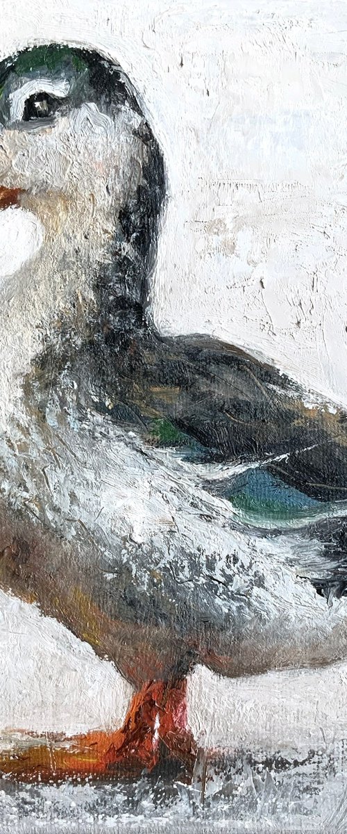 Mallard Duck by Alena Post