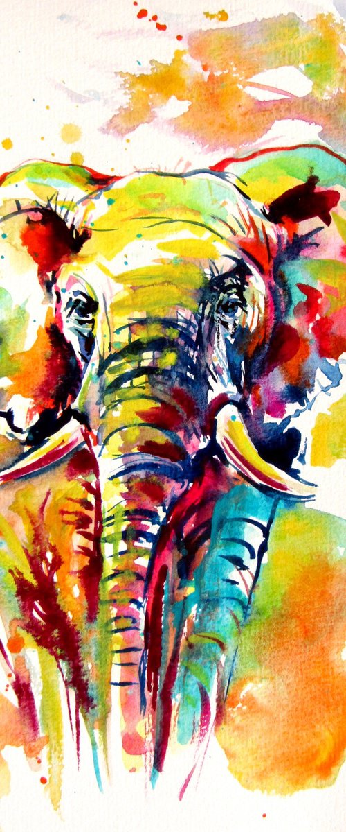 Colorful elephant by Kovács Anna Brigitta