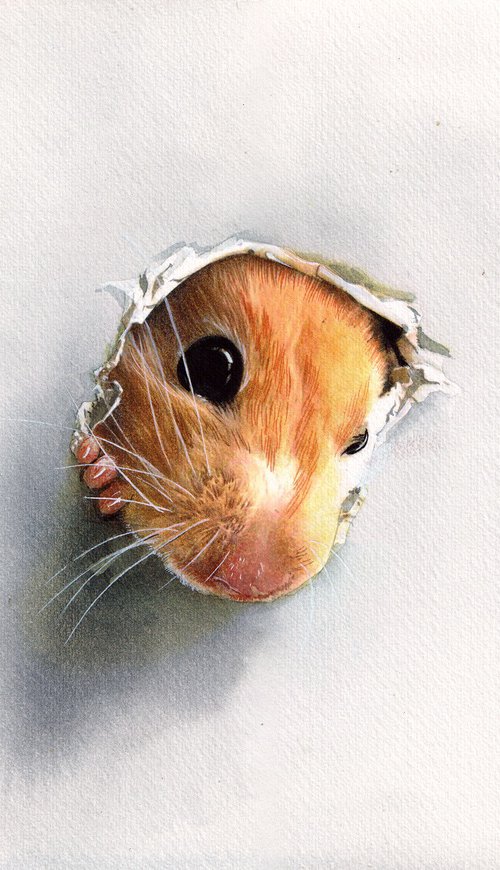 Mouse in hole by REME Jr.