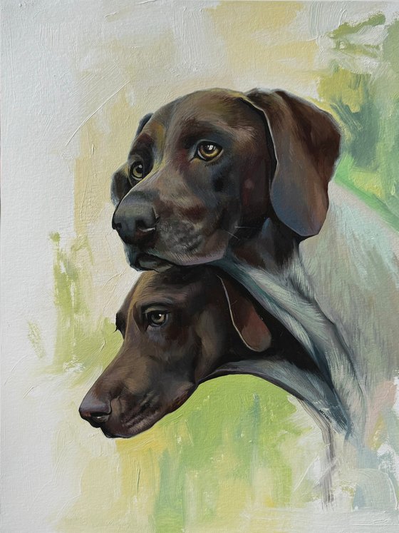 German Shorthaired Pointers