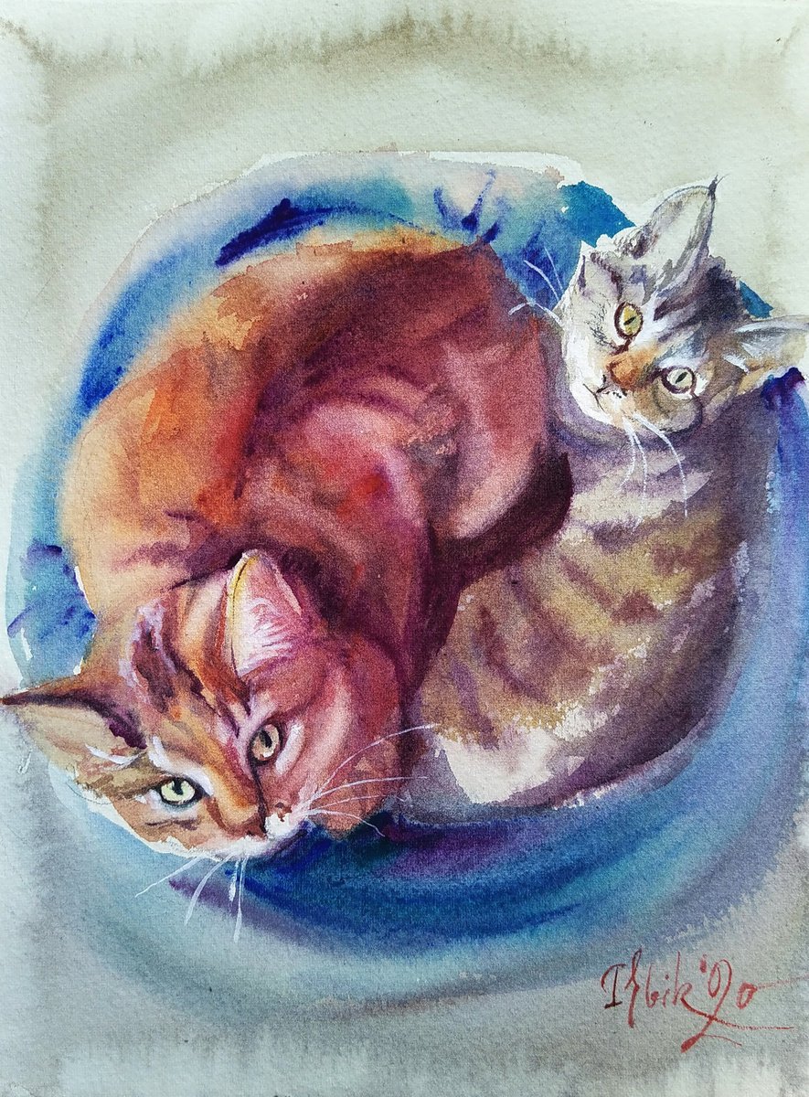 Cat ?4. Feline yin yang by Irina Bibik-Chkolian