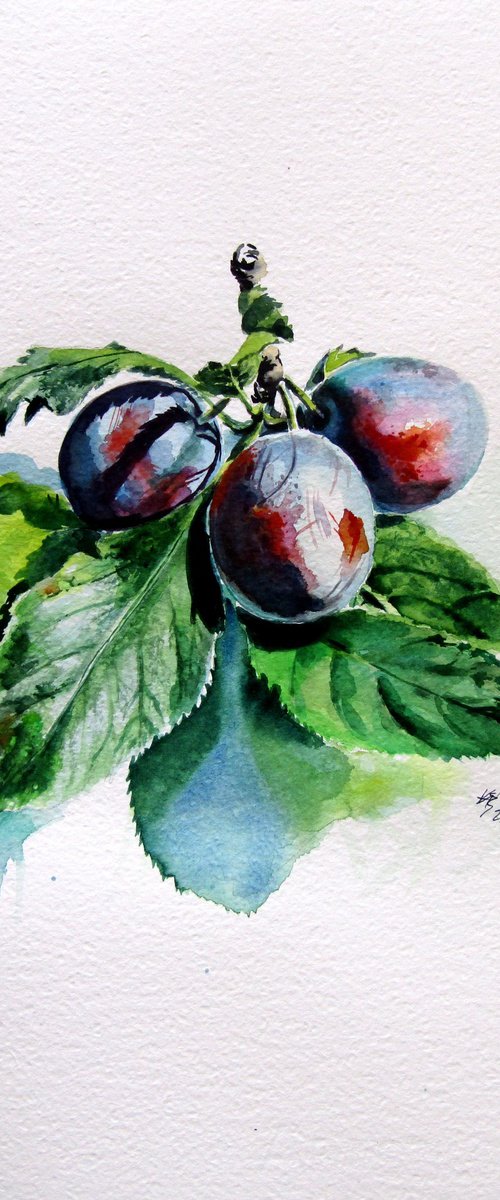 Plum by Kovács Anna Brigitta