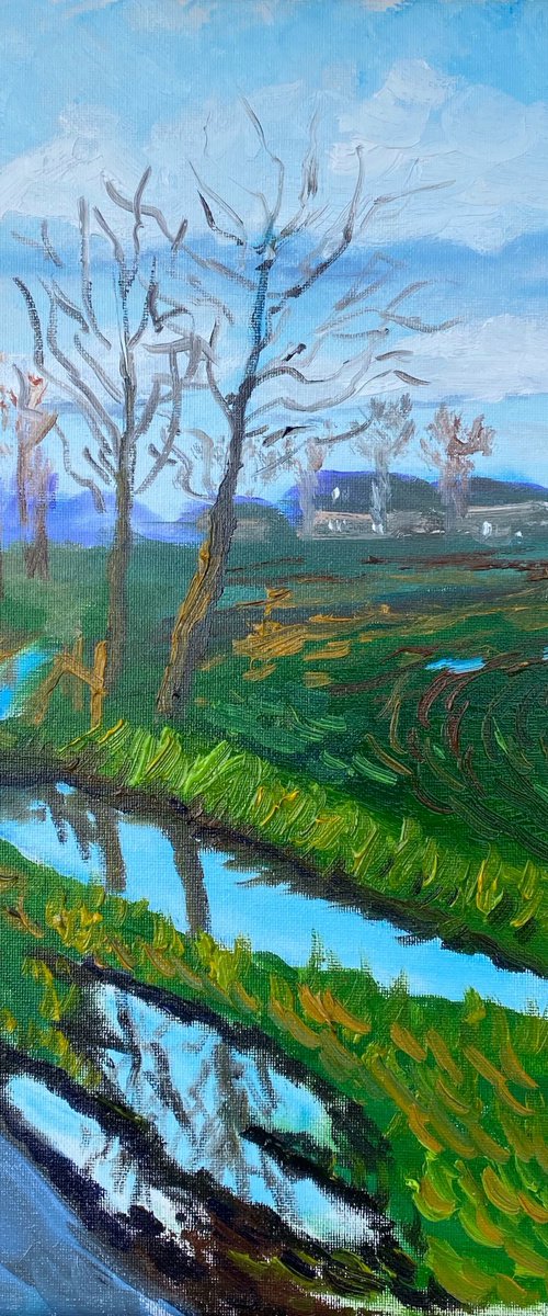 Country Road Reflections by Dmitry Fedorov