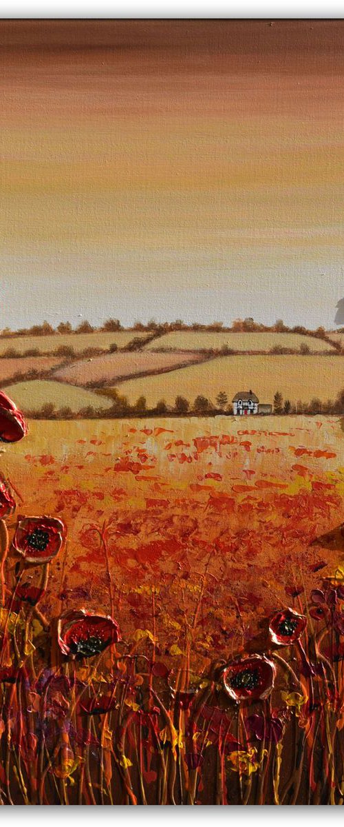 Cottage in the Poppy Fields by Amanda Dagg
