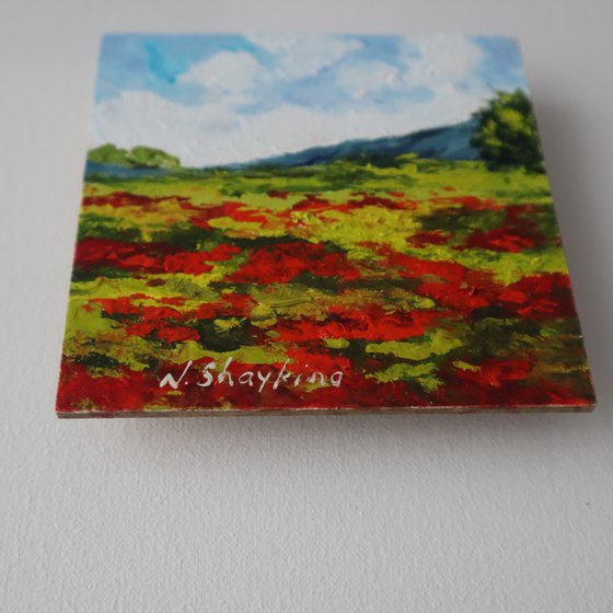 Red Poppy Field and Sky