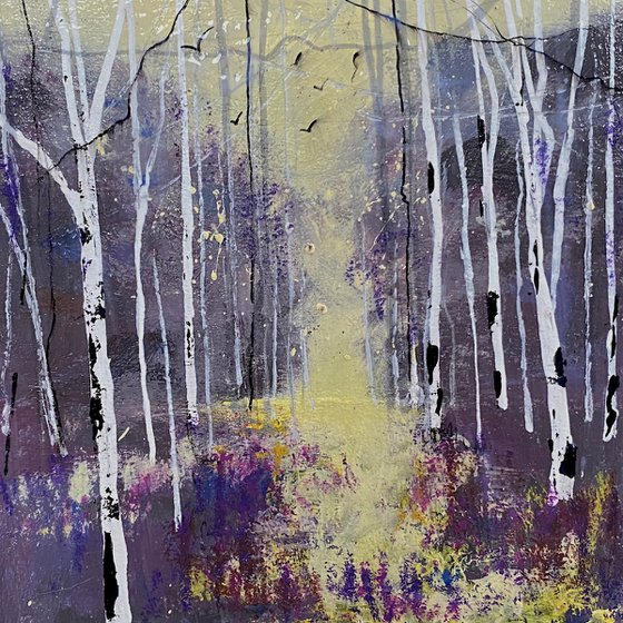Seasons - Violet Autumn, Silver Birch trees framed