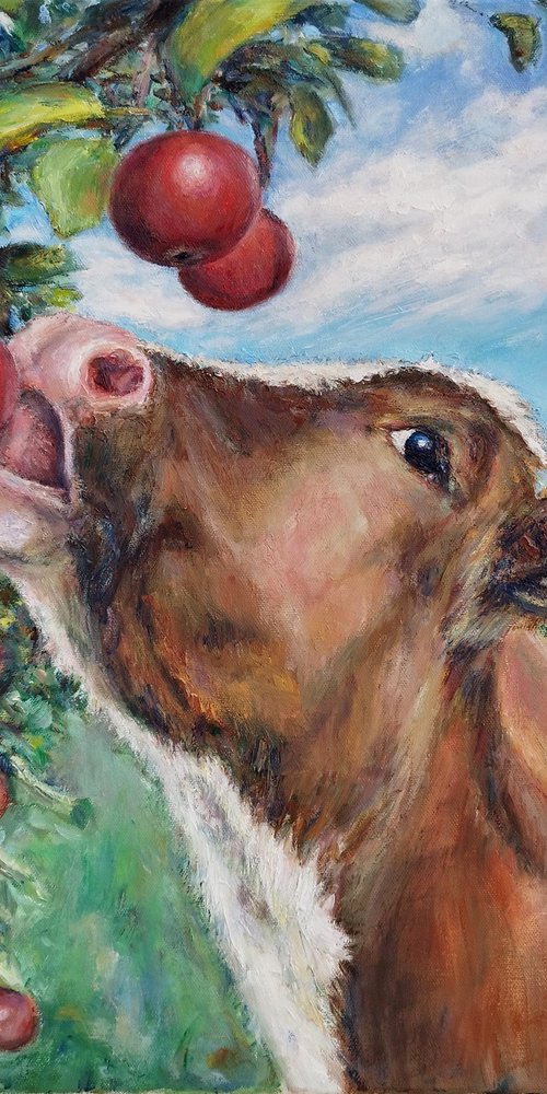 Cow In Orchard by Jura Kuba Art