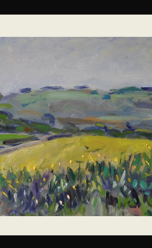 The Downs near Southdown Gun Club.. by Andre Pallat