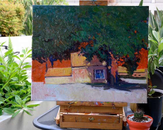 The Little House under Big Trees