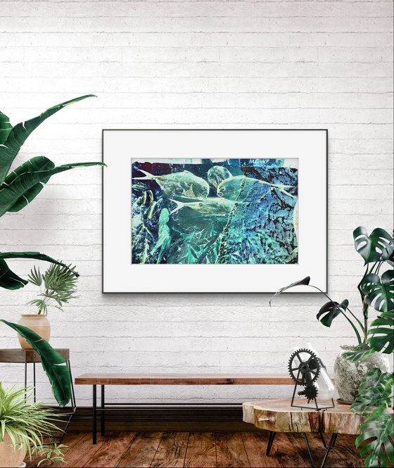 Photo Collage Fish Sea Sand