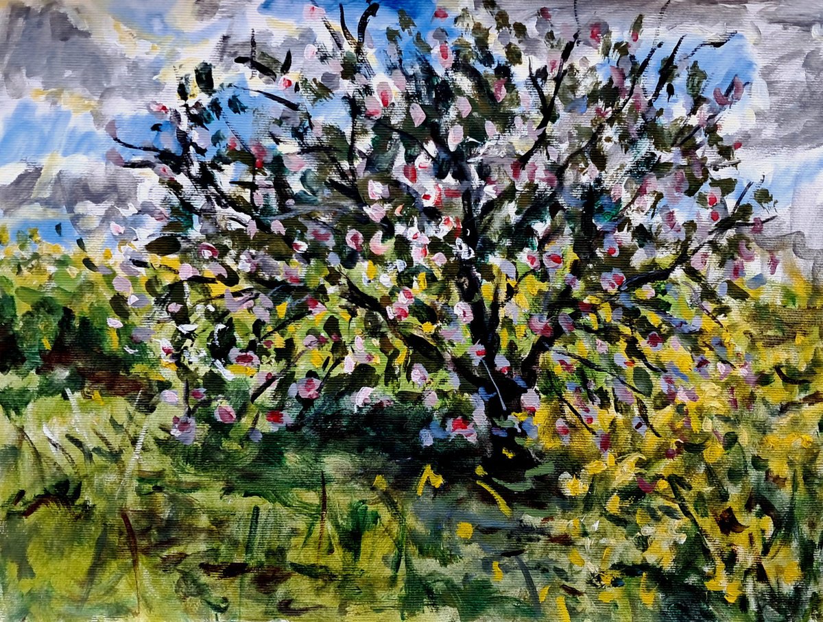  Blossoming Tree By Dimitris Voyiazoglou, 20 X 17, Artwork For Sale On Artfinder