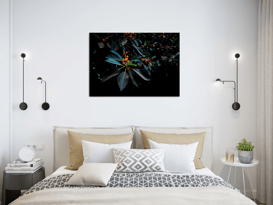 Orange, Green and Dark | Limited Edition Fine Art Print 1 of 10 | 75 x 50 cm