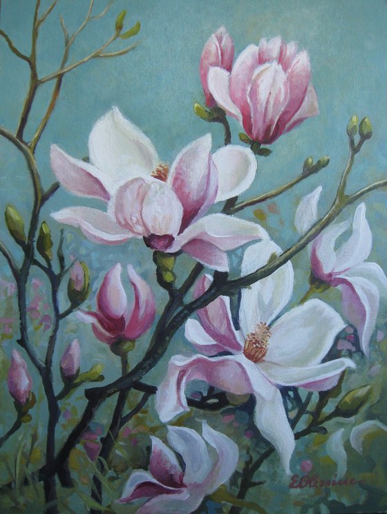 Magnolia flowers