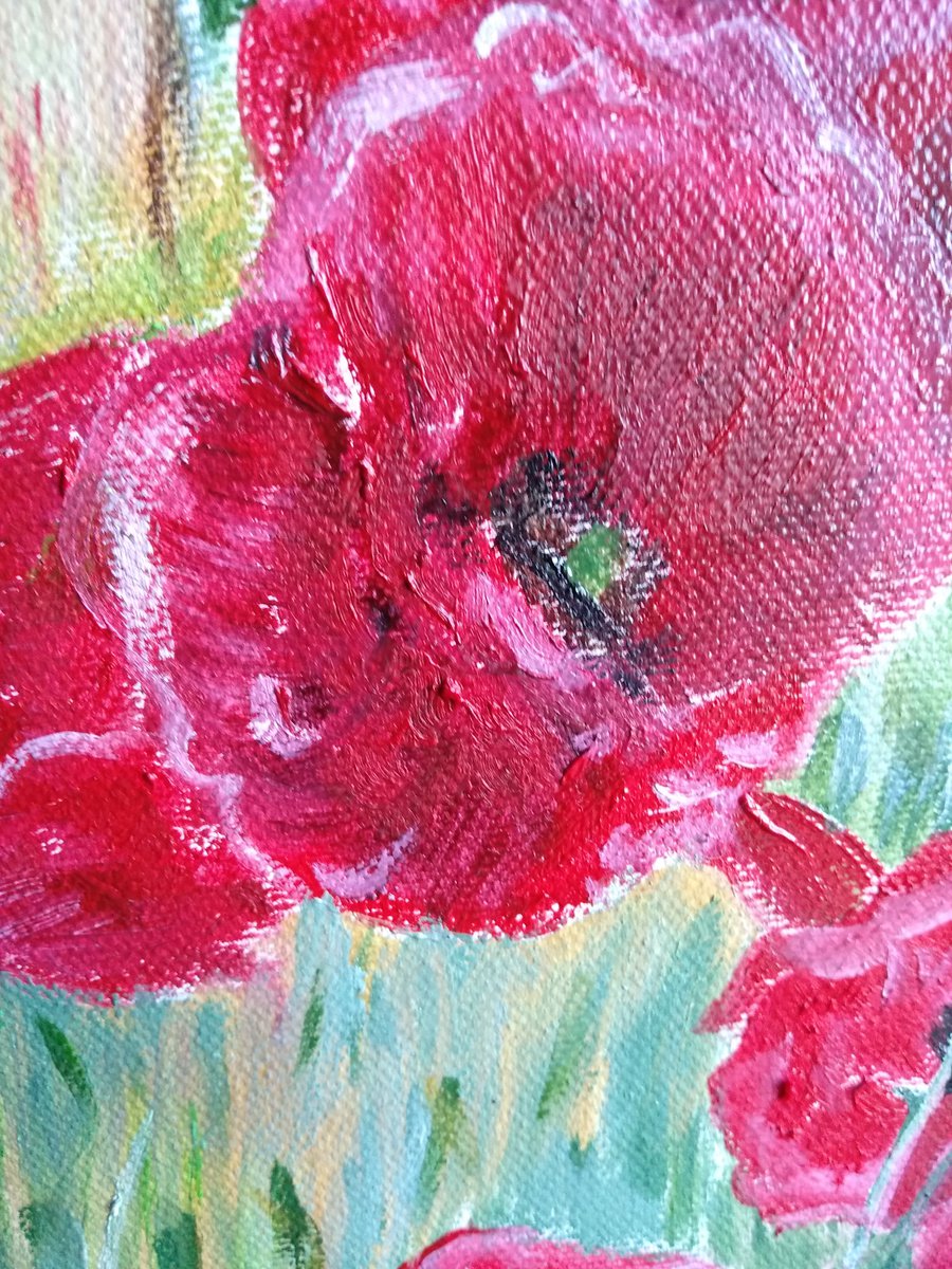 Poppies - flowers by Isabelle Lucas