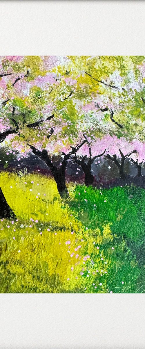 Orchard View by Teresa Tanner