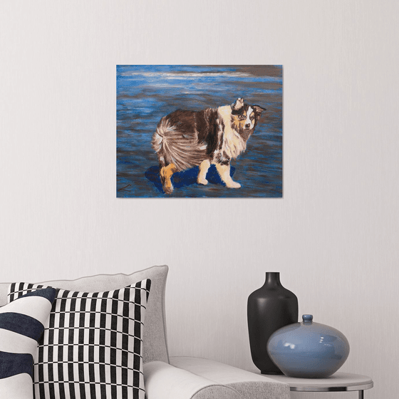 Dog at the sea 8