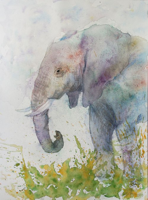 Elephant II /  ORIGINAL PAINTING by Salana Art Gallery