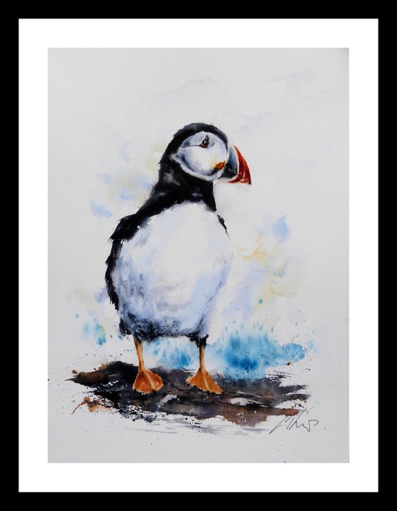 A Puffin.