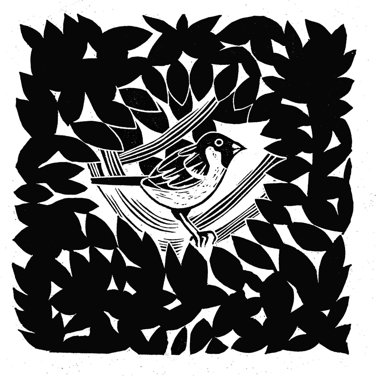 Expressive Linocut , Sparrow By Amanda Ribbans, 5 X 5, Artwork For Sale On Artfinder
