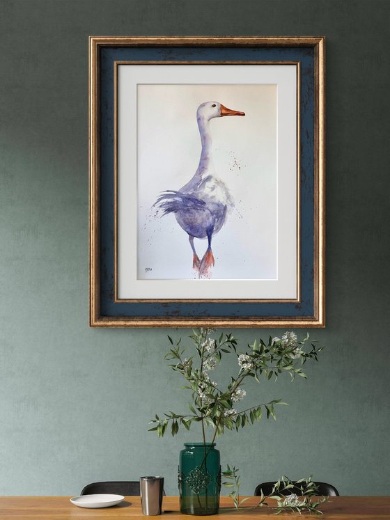 White long neck Curious duck