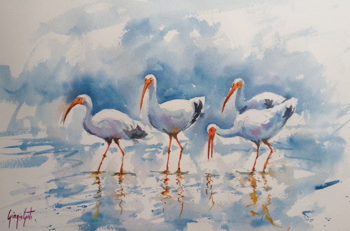 Impressionistic Watercolour , Ibis By Giorgio Gosti, 21 X 14, Artwork For Sale On Artfinder