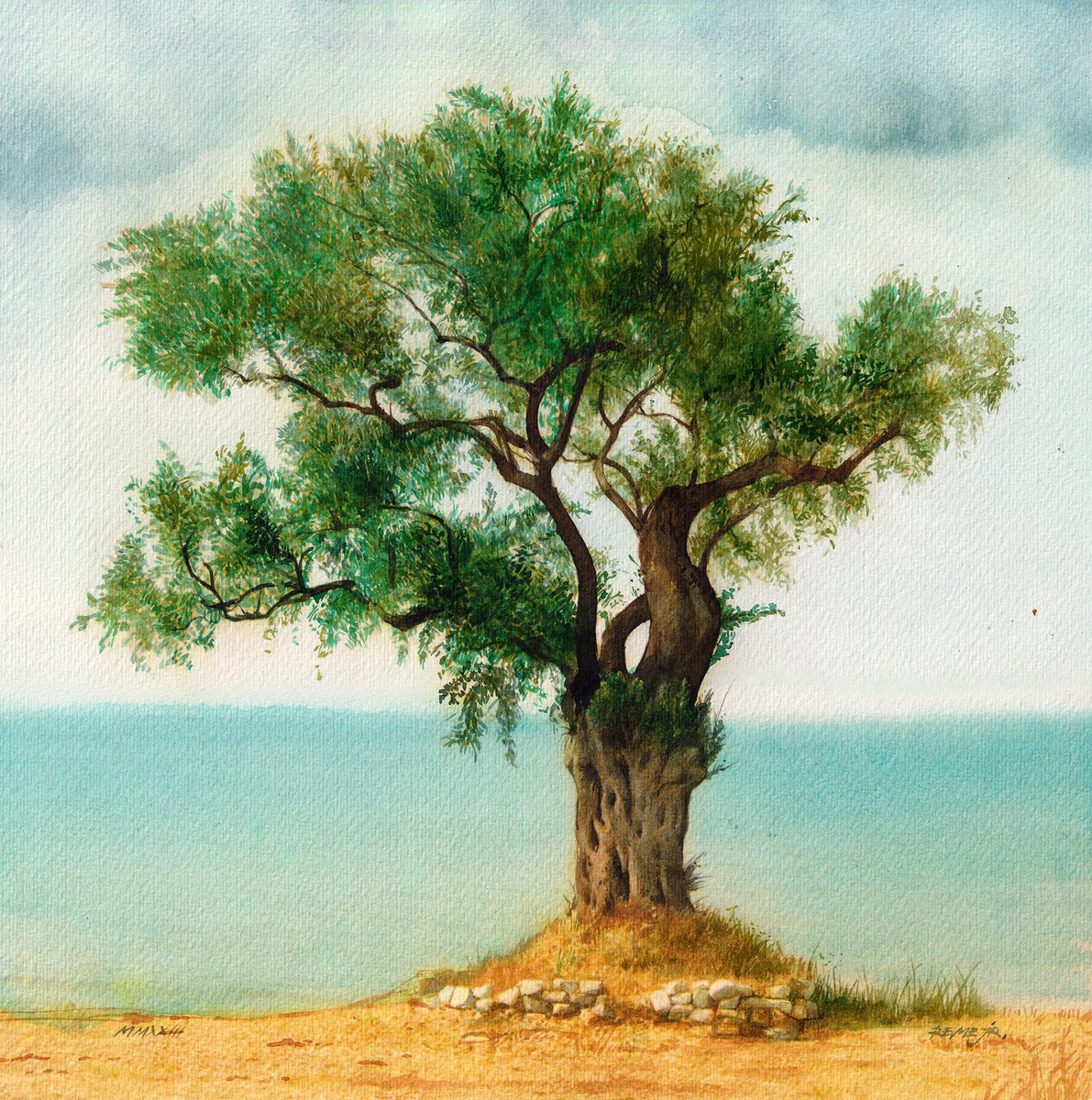 Olive Tree on Greek Island Thassos XIV by REME Jr.