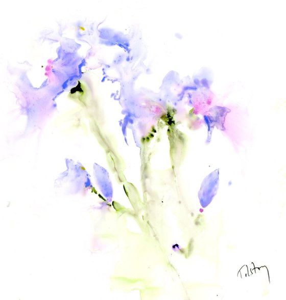 Irises Blue