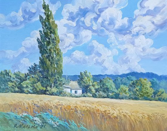 Inspired by Van Gogh. Wheat field with Poplars / Ukrainian rural landscape. Original picture