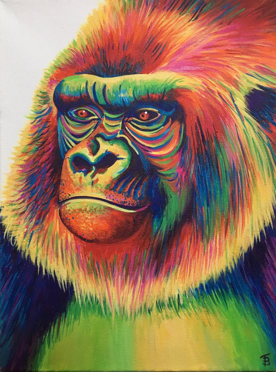 Gary the Rainbow Gorilla