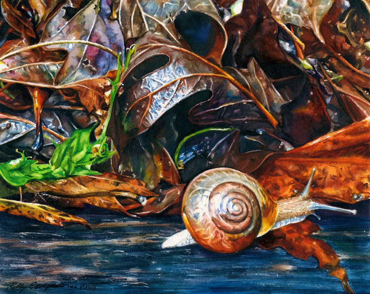 A Snail’s Pace by Kelly Eddington