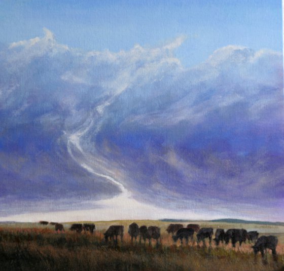 Cows in a storm