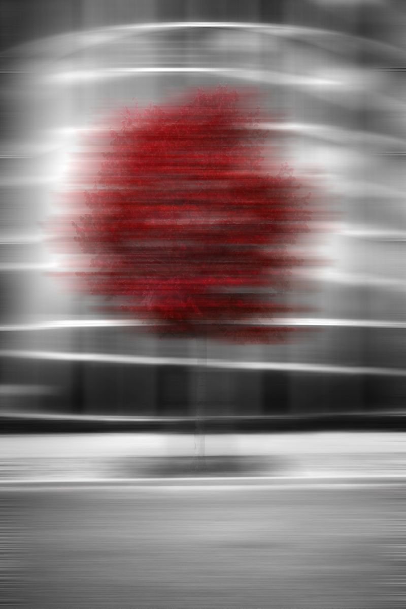 Red by Artur Salisz